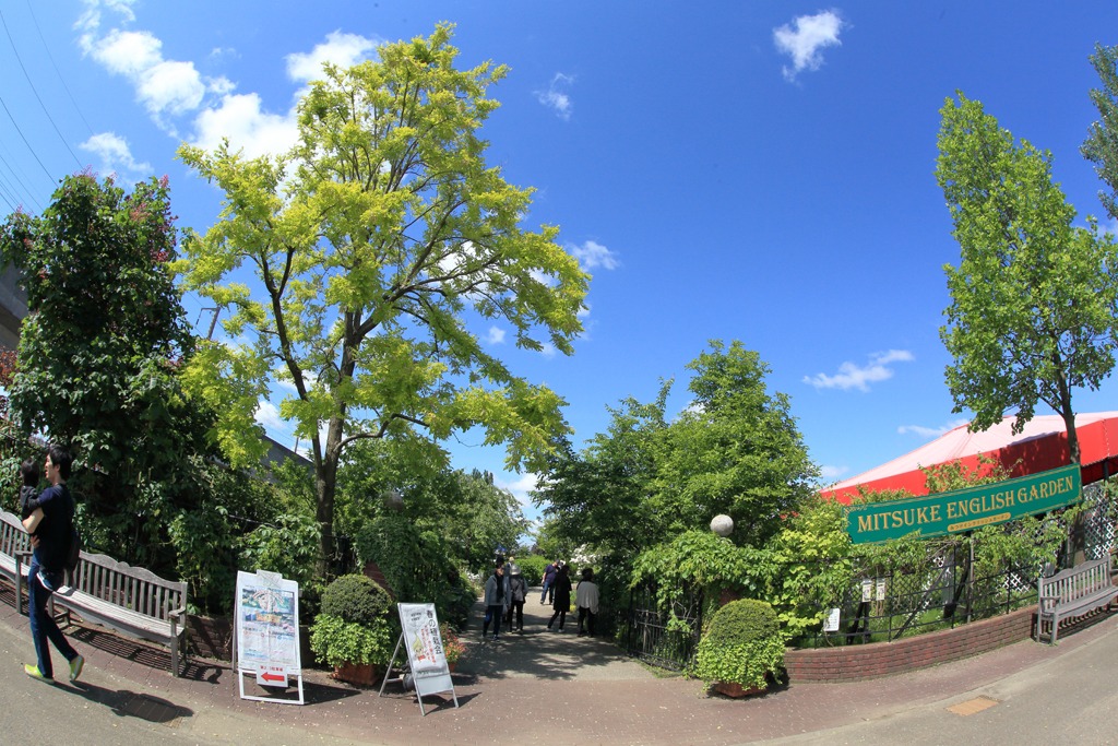 d0353401_2138159.jpg