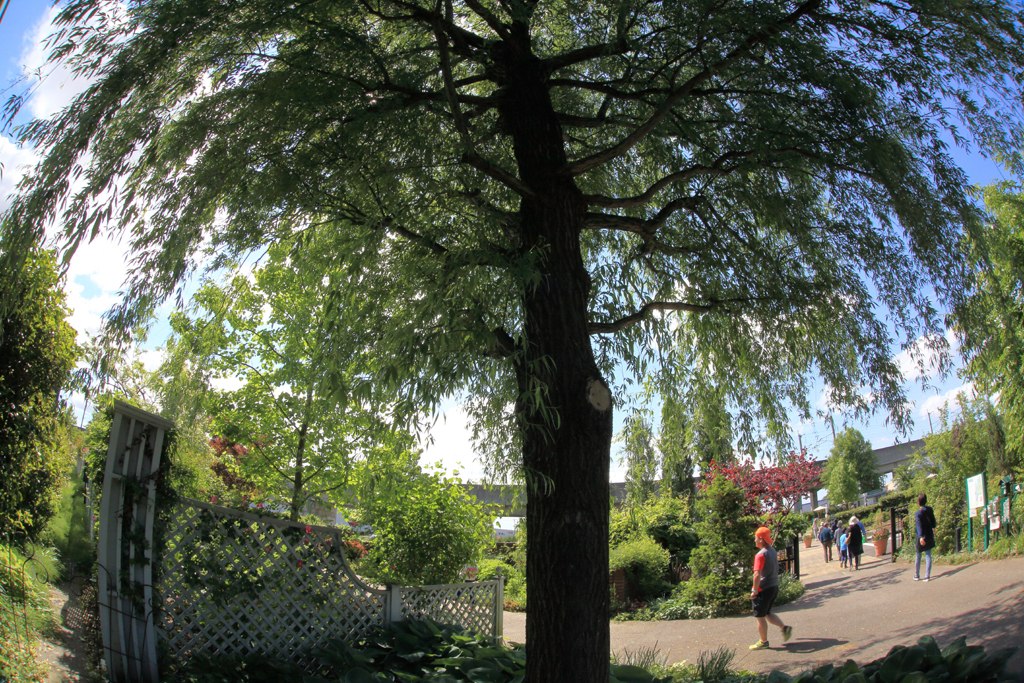 d0353401_21382818.jpg