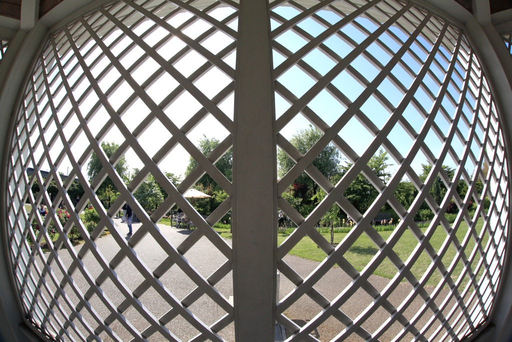 d0353401_23515257.jpg