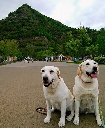 たまに五天山公園_f0082103_11144439.jpg