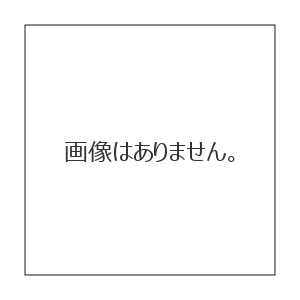 e0358504_02474489.png
