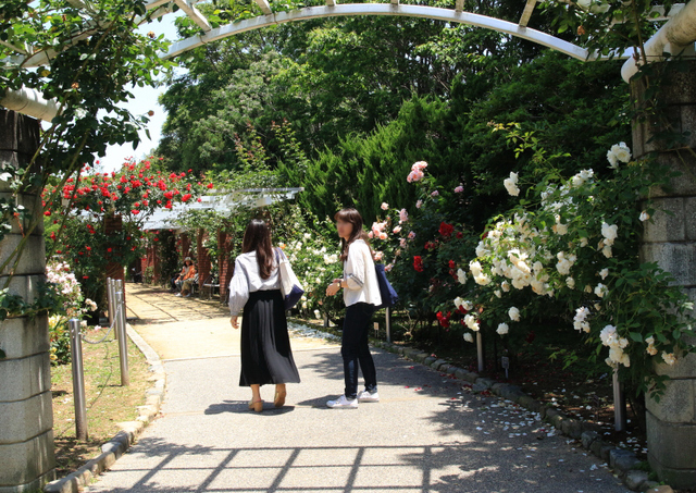 a0251508_2144723.jpg