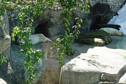 a0151913_2635.jpg