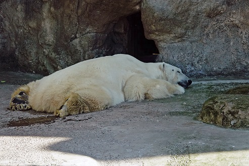 a0151913_4202577.jpg