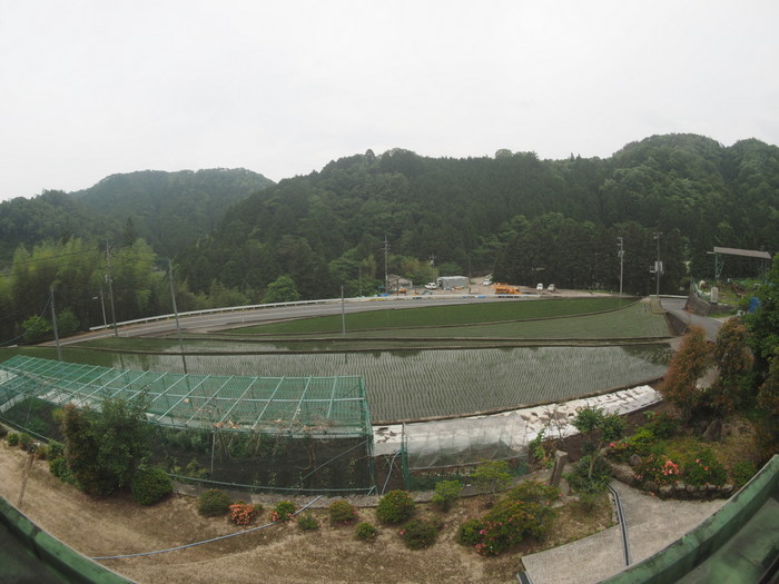 曇りのち雨のち晴れたり曇ったり_c0116915_23592769.jpg