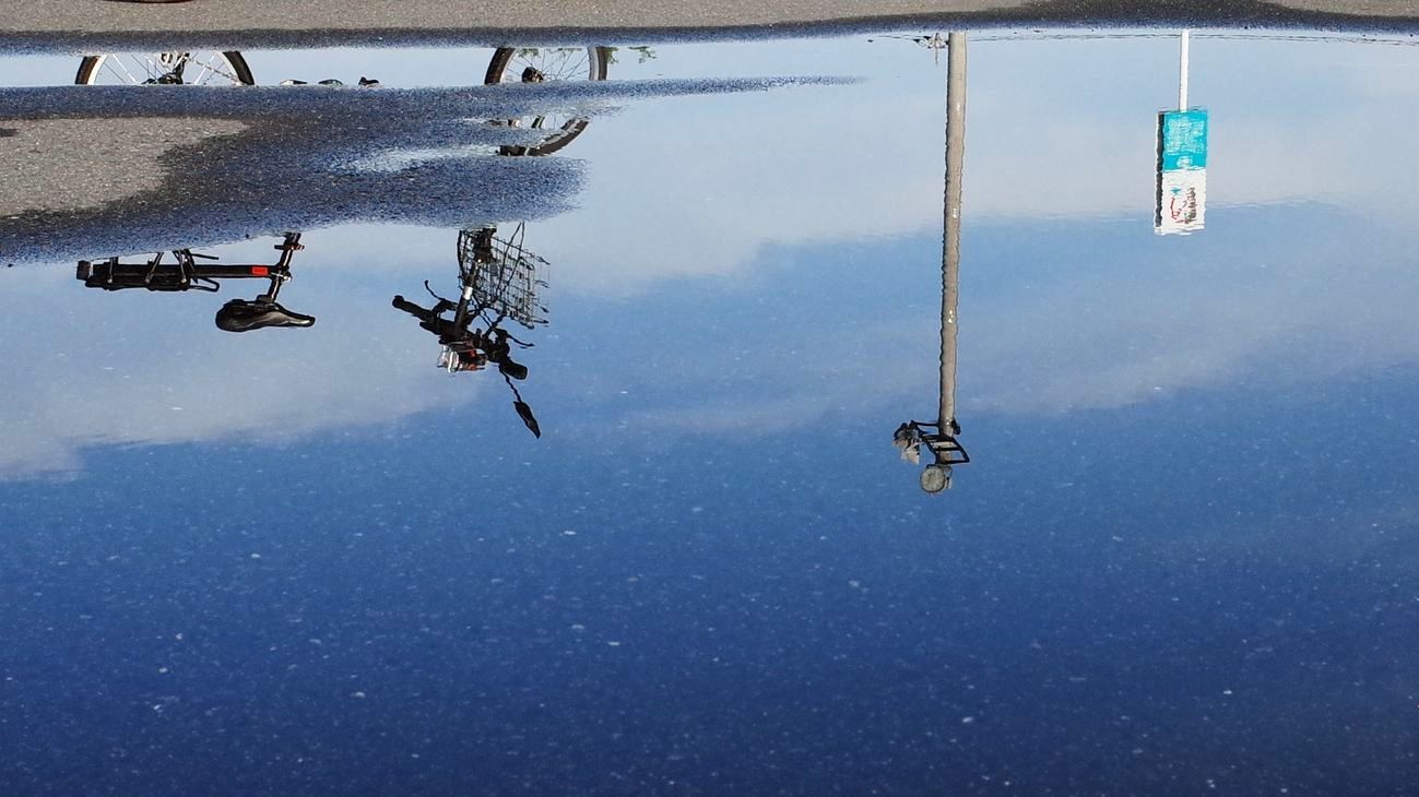 雨上がりはシャッターチャンスだ・・・逆さ画は狙い目!♪_a0031821_11550698.jpg