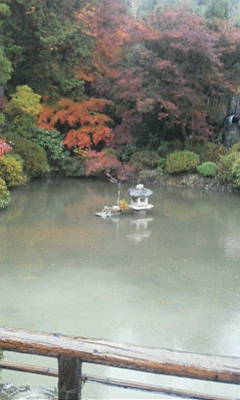 c0074721_15434062.jpg