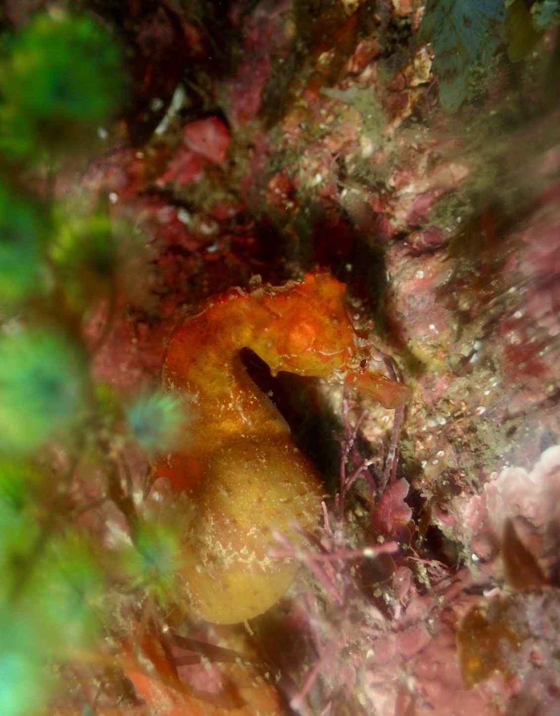 c0115421_20155128.jpg