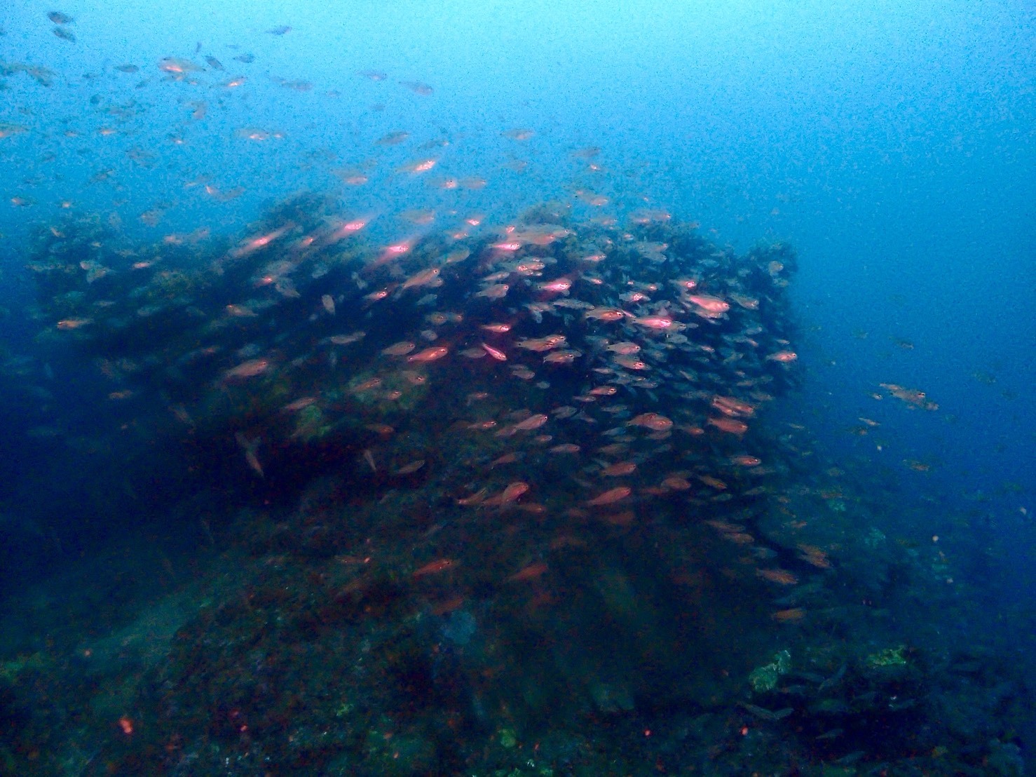 c0115421_20162866.jpg