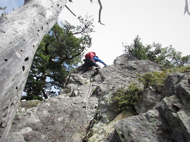 奥秩父　鶏冠山から木賊山へシャクナゲロードを行く　　　　　Mount Tosaka in Chichibu Tama Kai National Park_f0308721_13484196.jpg