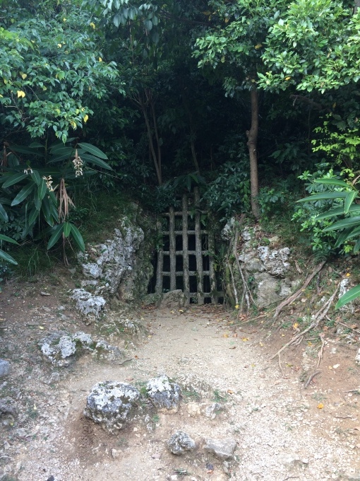 f0133526_12134754.jpeg