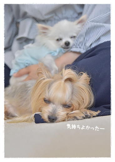 d0179828_09072140.png