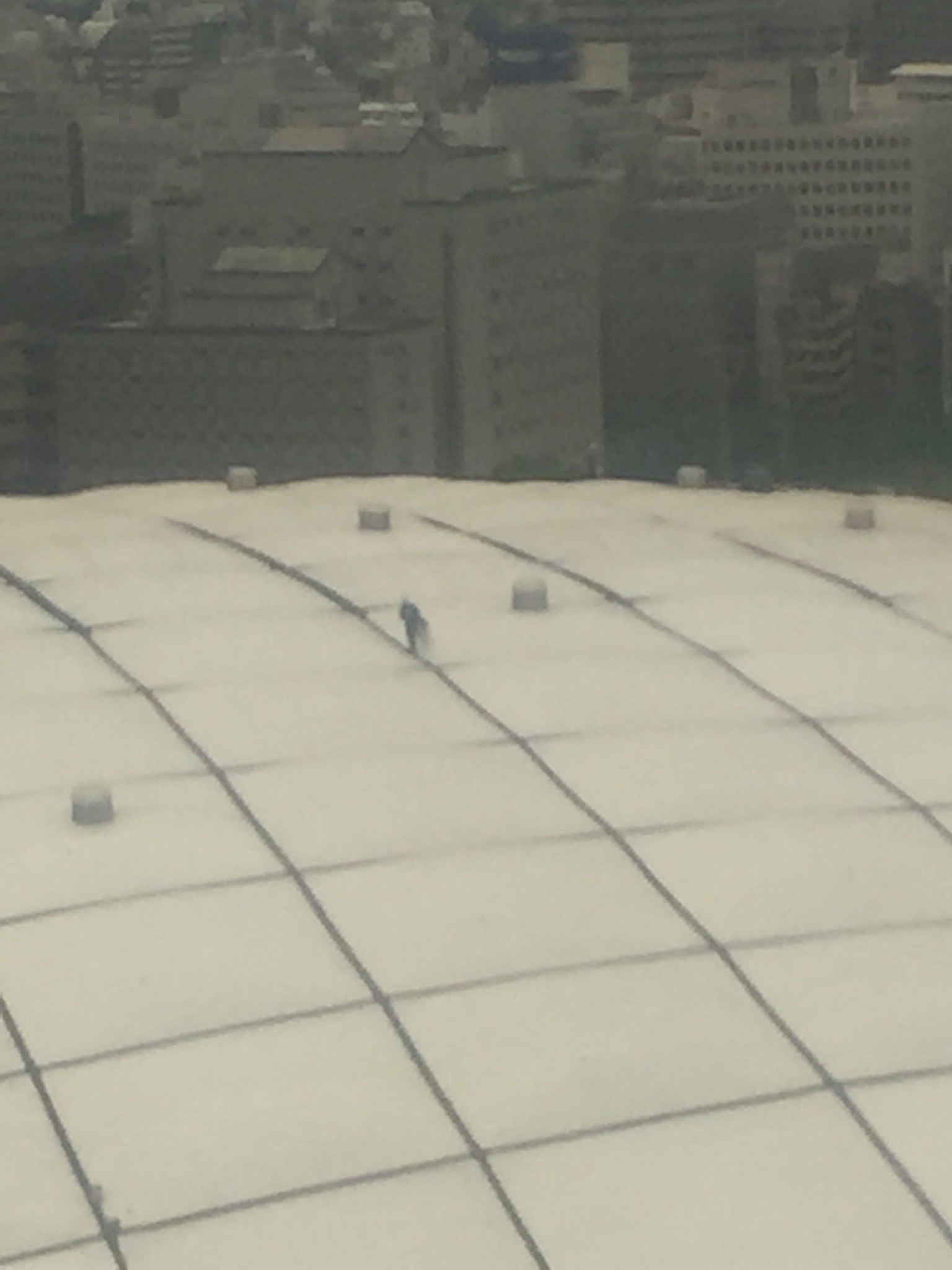 f0375928_20011711.jpeg