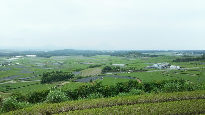 昨日、鹿児島から帰ってきました_e0305834_21072329.jpg