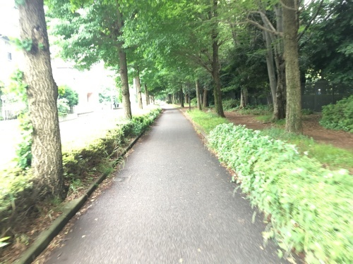 自転車で行く神奈川県警察運転免許センター_b0330040_20424300.jpeg