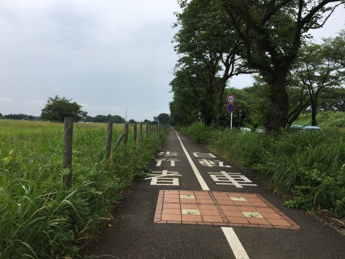 自転車で行く神奈川県警察運転免許センター_b0330040_22221456.jpeg