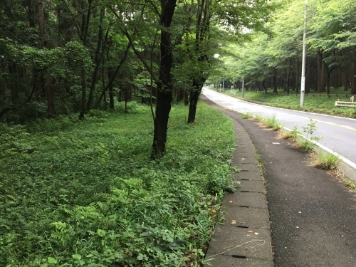 自転車で行く神奈川県警察運転免許センター_b0330040_23040081.jpeg