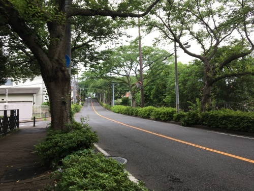 b0330040_23074151.jpeg