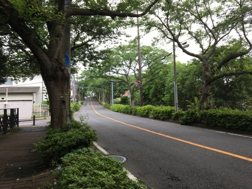 自転車で行く神奈川県警察運転免許センター_b0330040_23074151.jpeg