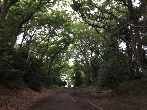 自転車で行く神奈川県警察運転免許センター_b0330040_23314690.jpeg