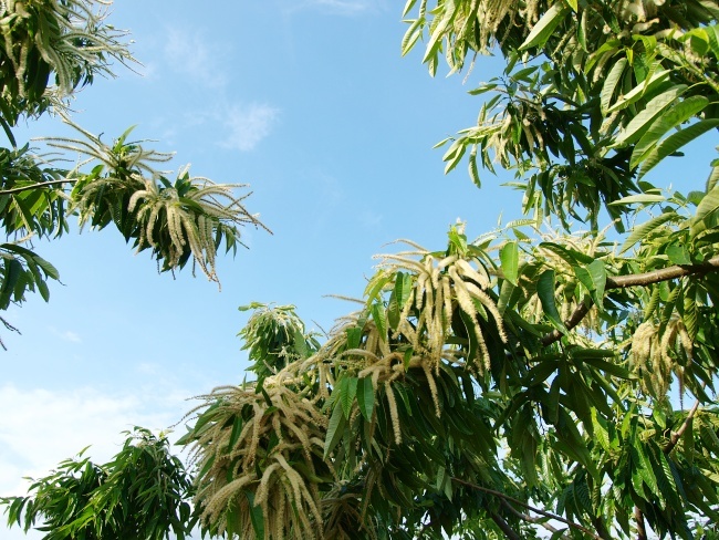 c0281841_12564691.jpg