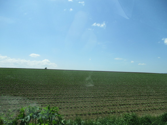 a0279743_11373993.jpg