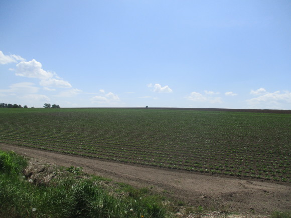 a0279743_11380771.jpg