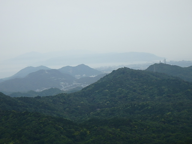 f0334143_8442439.jpg