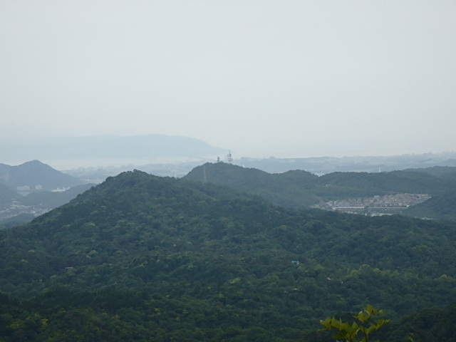 f0334143_844429.jpg