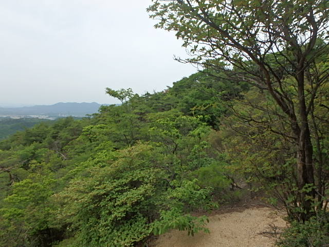 f0334143_8473348.jpg