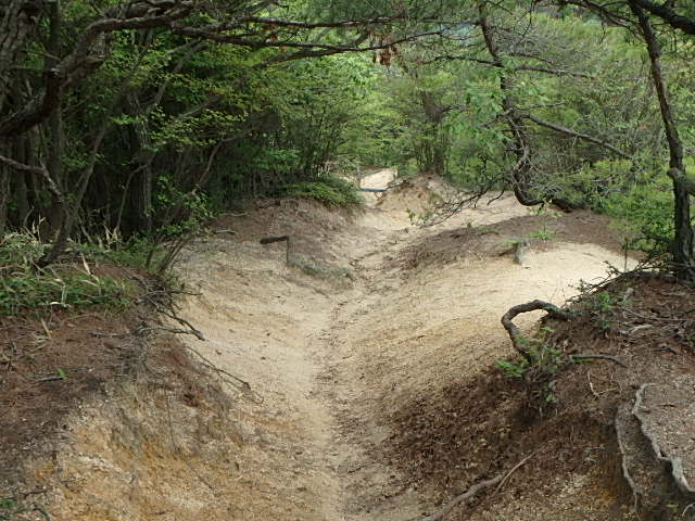 f0334143_847959.jpg