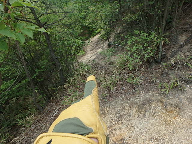 f0334143_8484944.jpg