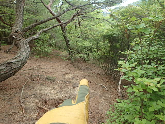 f0334143_84906.jpg