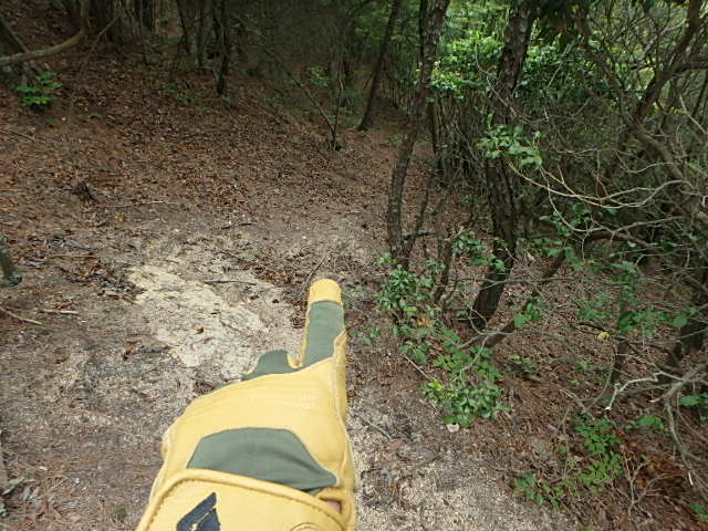 f0334143_8491878.jpg