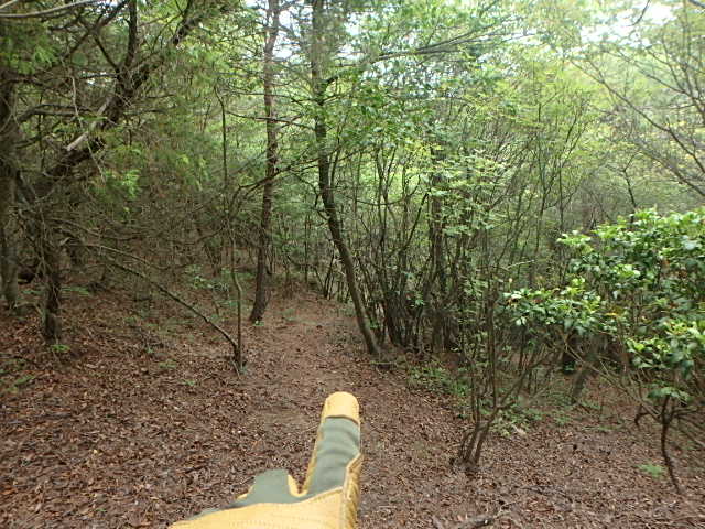 f0334143_849356.jpg