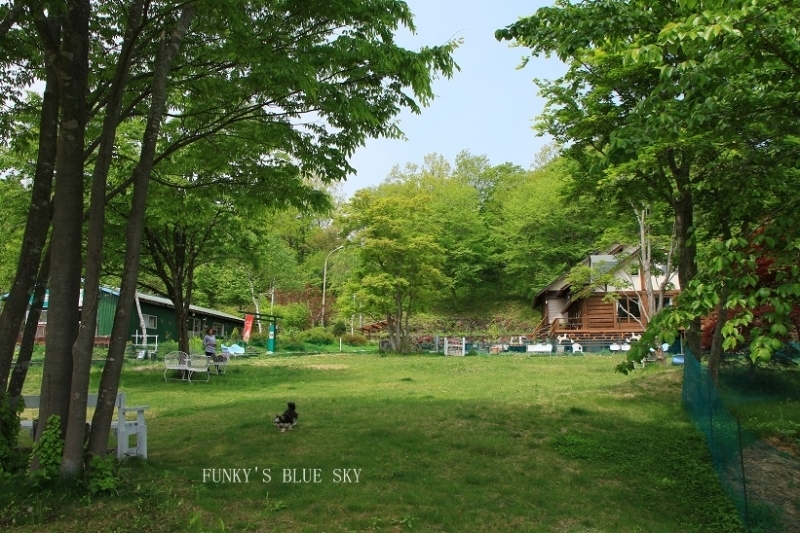 c0145250_10553649.jpg