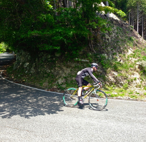 4月、5月の盆栽屋仕事録_e0154650_20101945.jpg