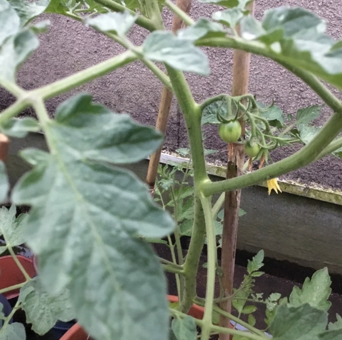 a0083752_05122504.jpeg