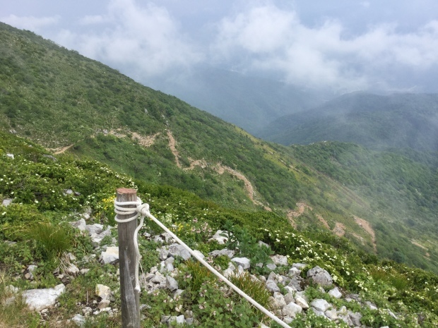 c0073152_17054970.jpeg