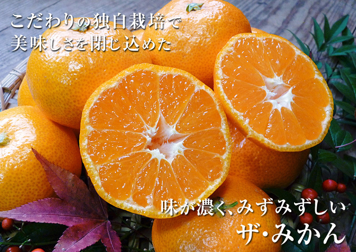 ザ・みかん 平成30年度の花の様子と極早生みかん販売中止のお知らせ_a0254656_17301108.jpg