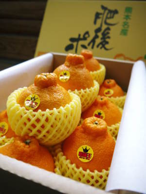 ザ・みかん 平成30年度の花の様子と極早生みかん販売中止のお知らせ_a0254656_17433235.jpg