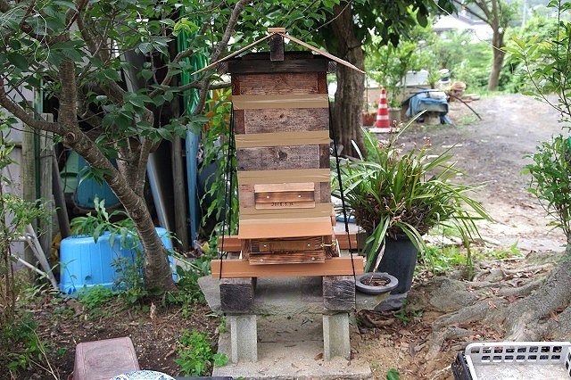 e0339960_12355999.jpg
