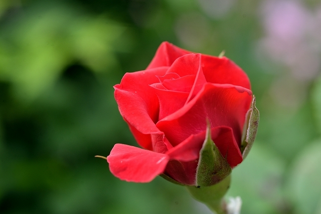 a0016161_19001701.jpg
