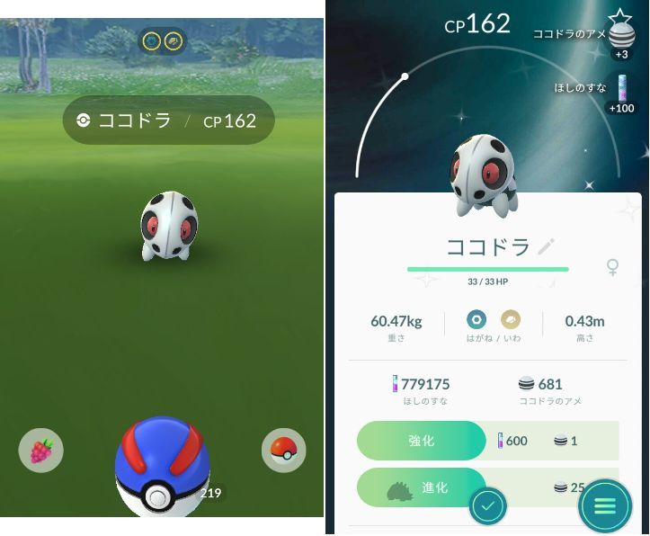 ココドラの色違い 無色日記