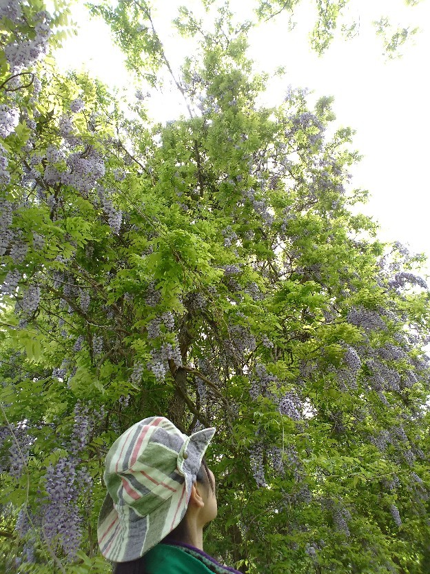 f0201565_11571549.jpg