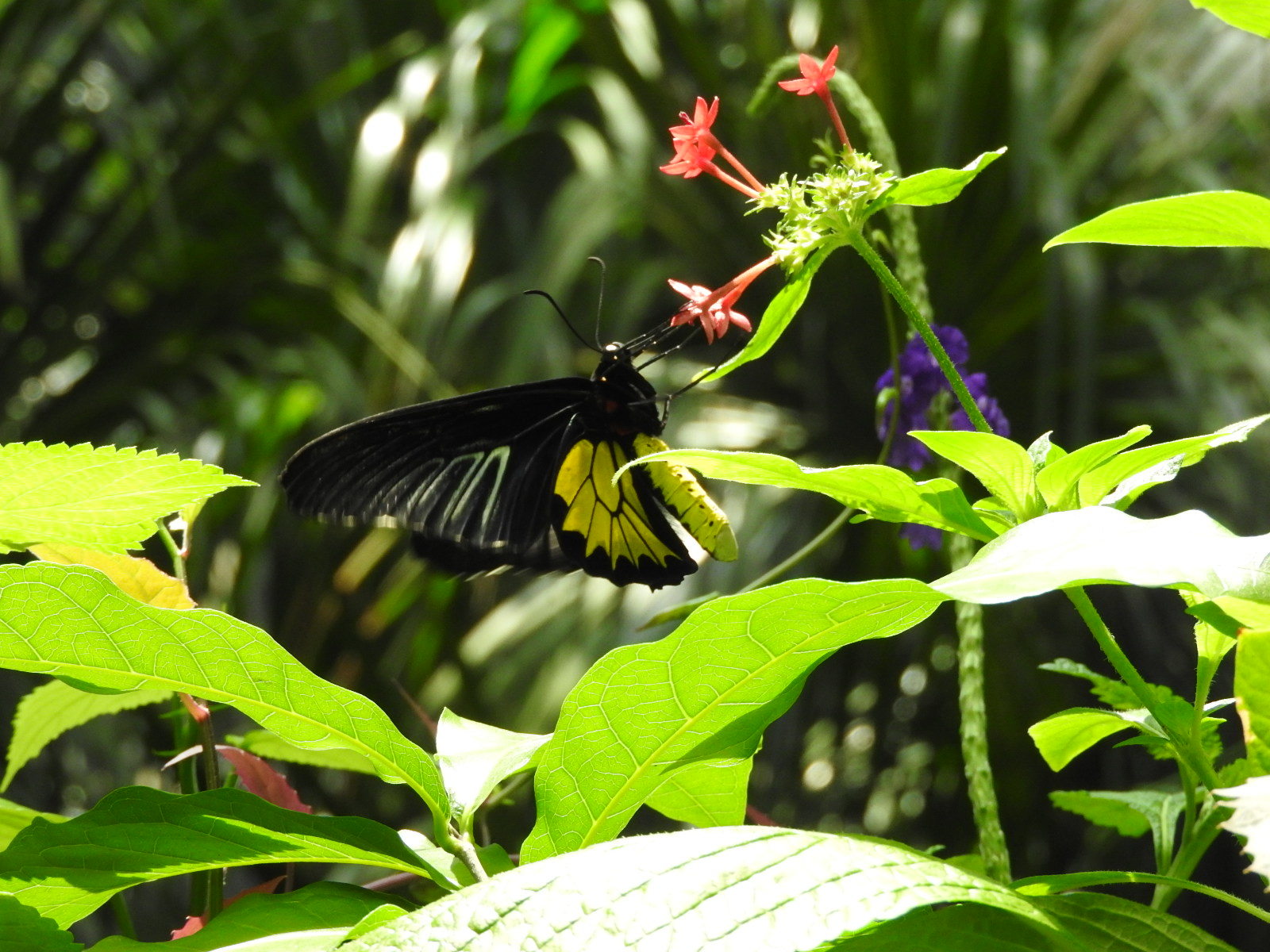 c0115366_00533574.jpg