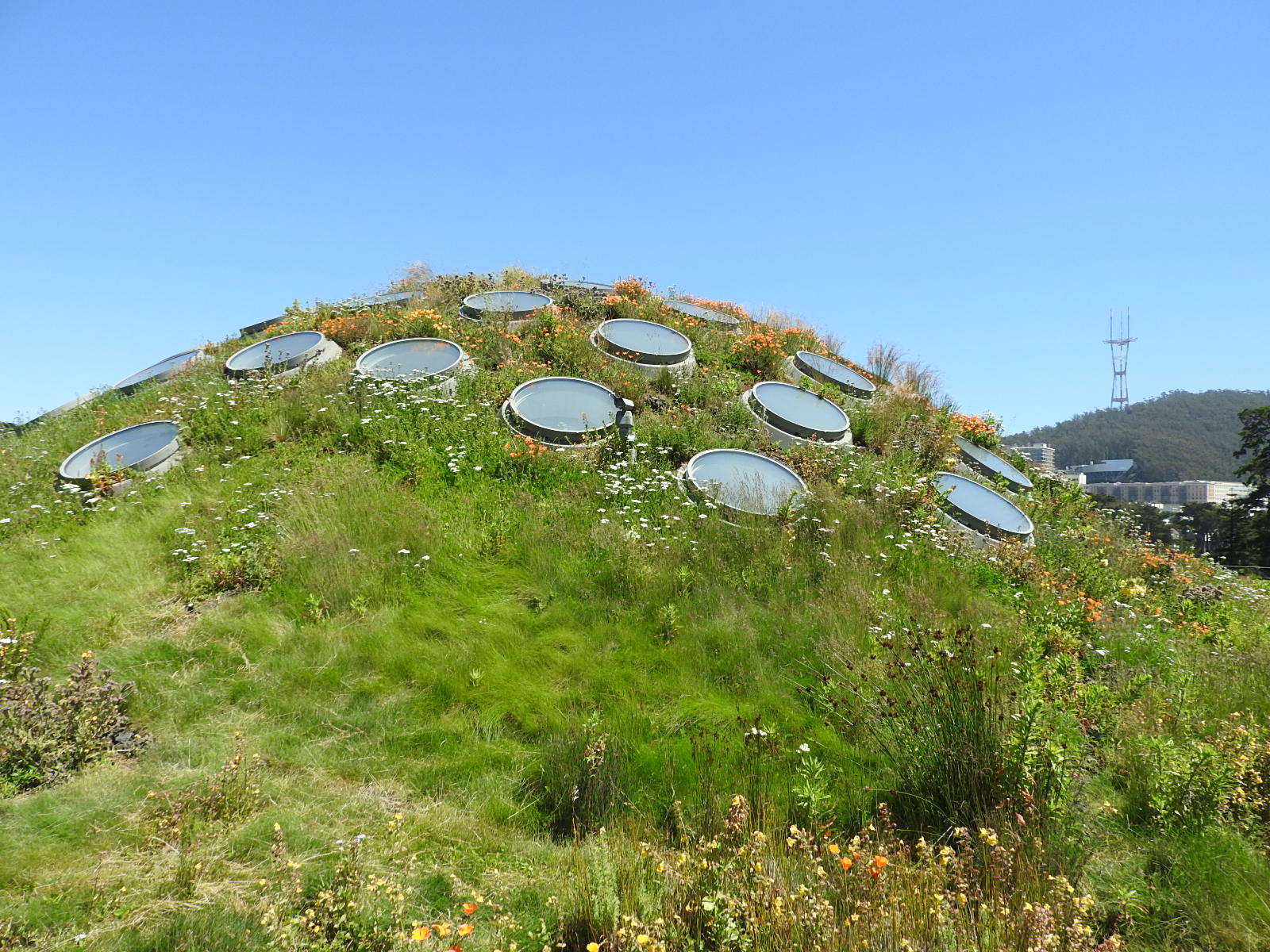 c0115366_00551419.jpg