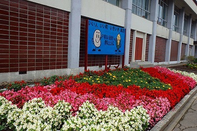 b0171771_22345012.jpg