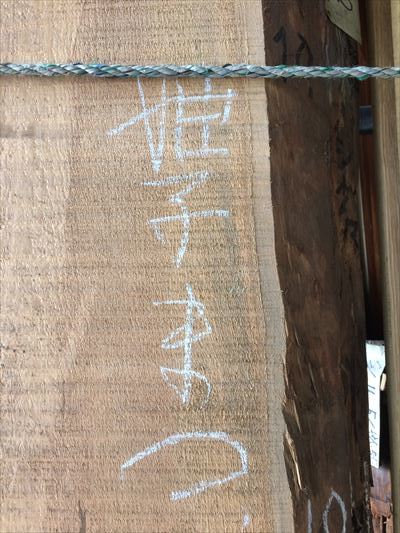 良い木に出会えました！_d0165772_19234533.jpg
