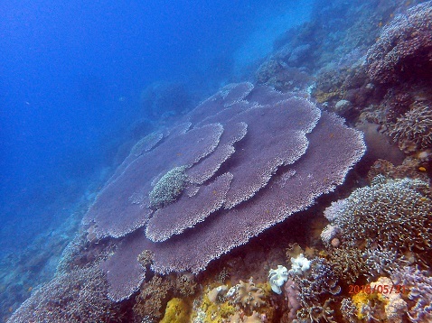 d0363174_22295687.jpg